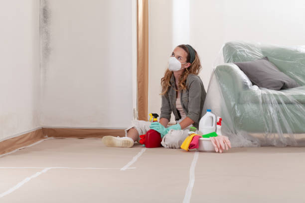 Reliable Black Mold Remediation contractor in Eagle, MI by Mold Remediation HQ